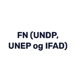 fn-undp